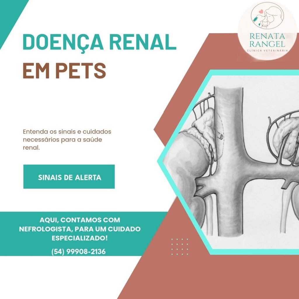 Instagram post from renatarangel.veterinaria. This post is in position 4.