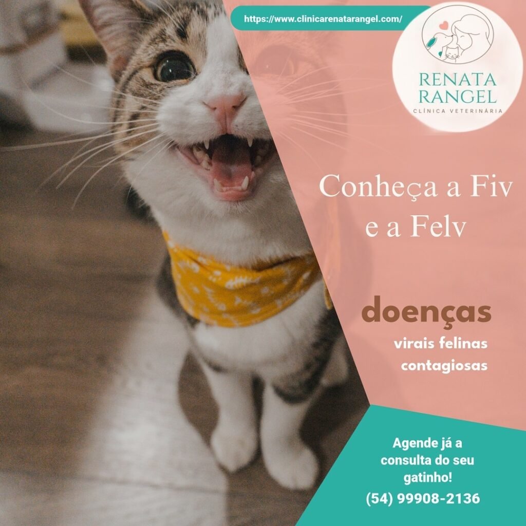 Instagram post from renatarangel.veterinaria. This post is in position 3.