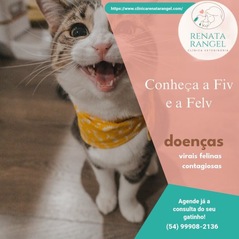 Instagram post from renatarangel.veterinaria. This post is in position 3.