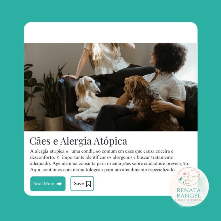Instagram post from renatarangel.veterinaria. This post is in position 5.