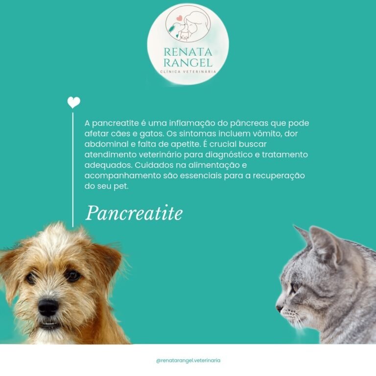 Instagram post from renatarangel.veterinaria. This post is in position 1.